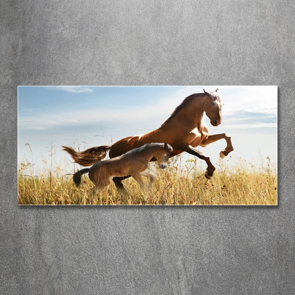 Print on acrylic Mare with foal