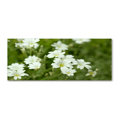 Wall art acrylic Spring flowers