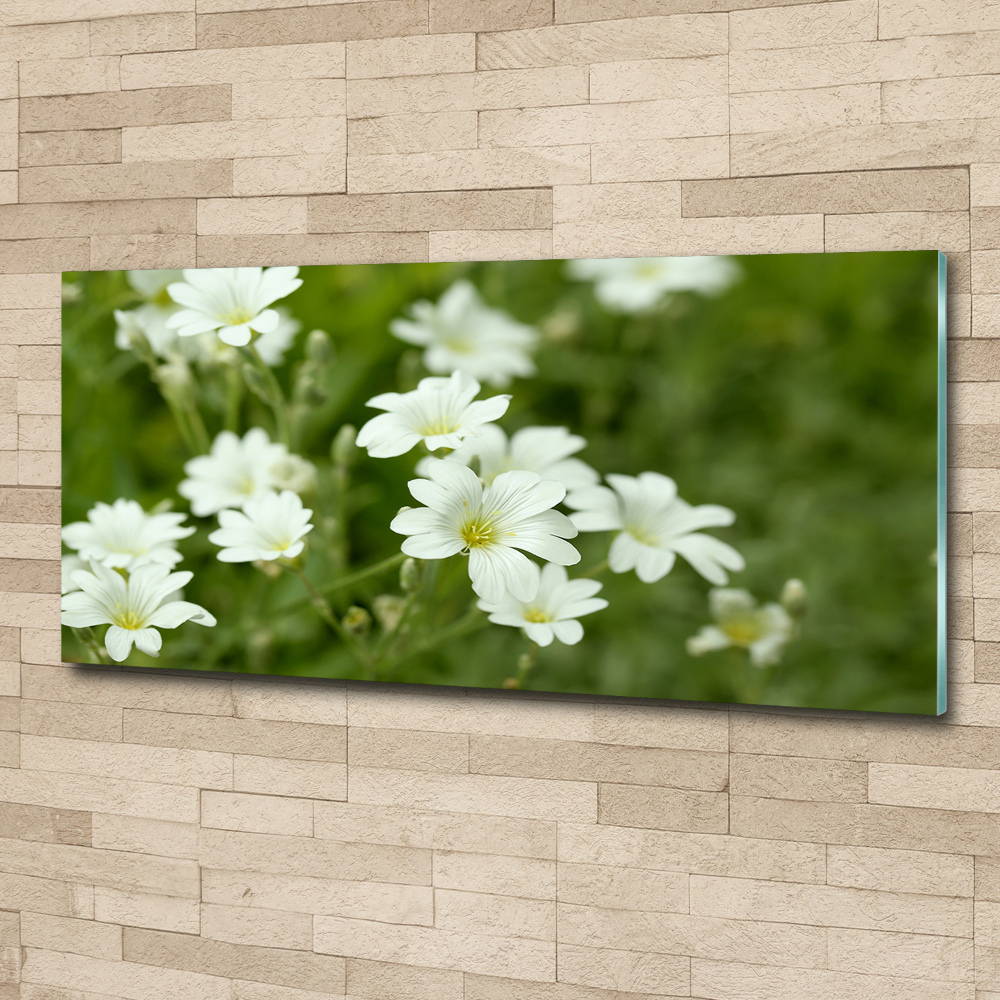 Wall art acrylic Spring flowers