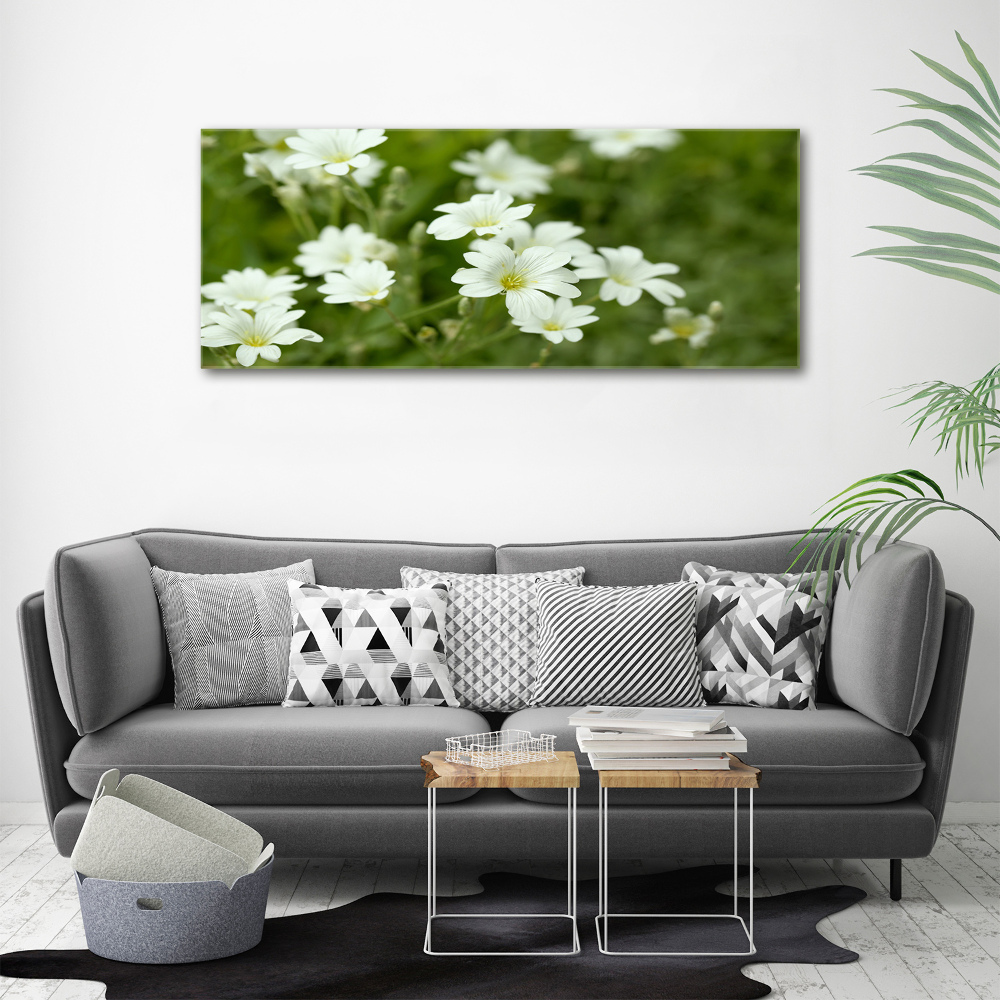 Wall art acrylic Spring flowers