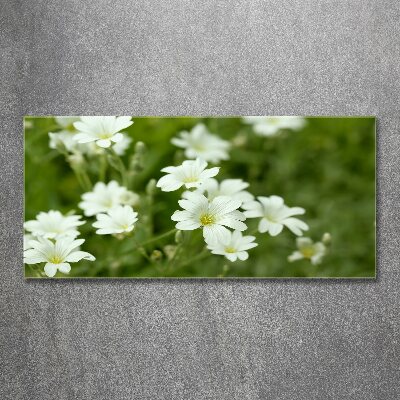 Wall art acrylic Spring flowers