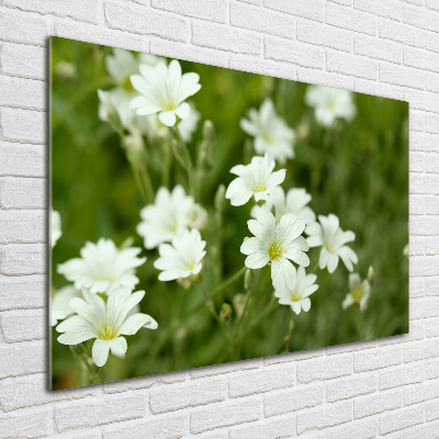 Wall art acrylic Spring flowers