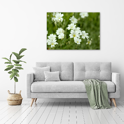 Wall art acrylic Spring flowers