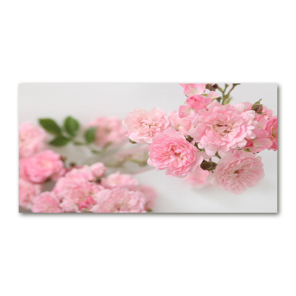 Acrylic wall art Wild roses