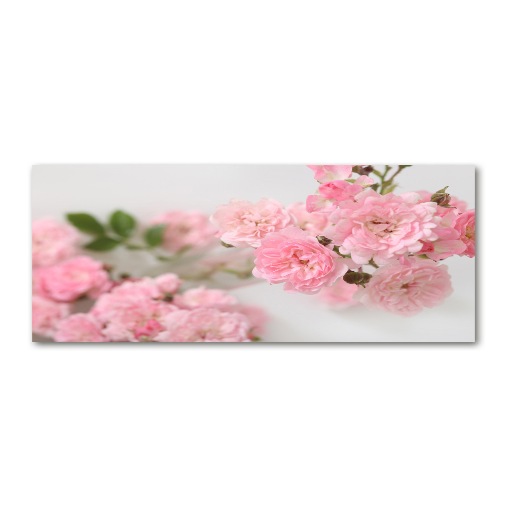 Acrylic wall art Wild roses