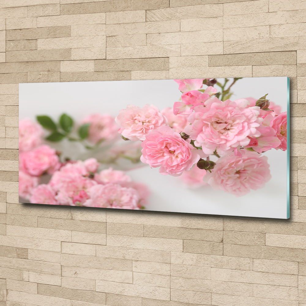 Acrylic wall art Wild roses