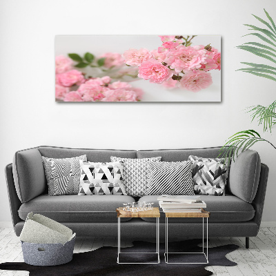 Acrylic wall art Wild roses