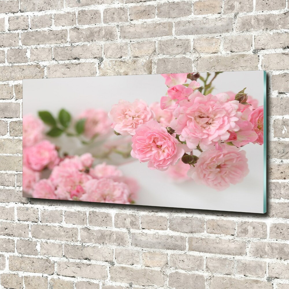 Acrylic wall art Wild roses