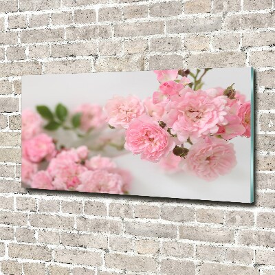 Acrylic wall art Wild roses