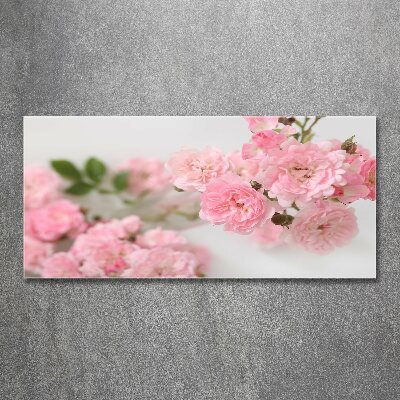 Acrylic wall art Wild roses