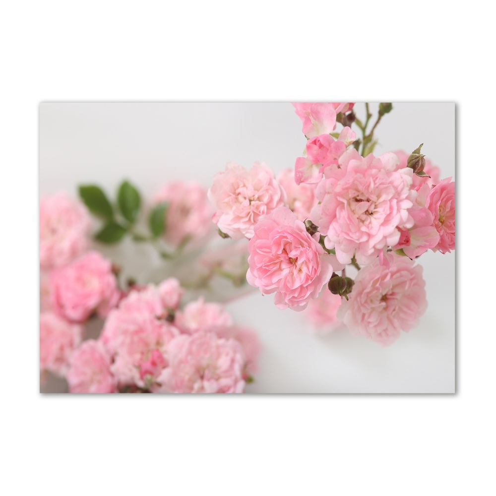 Acrylic wall art Wild roses