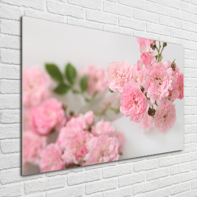 Acrylic wall art Wild roses