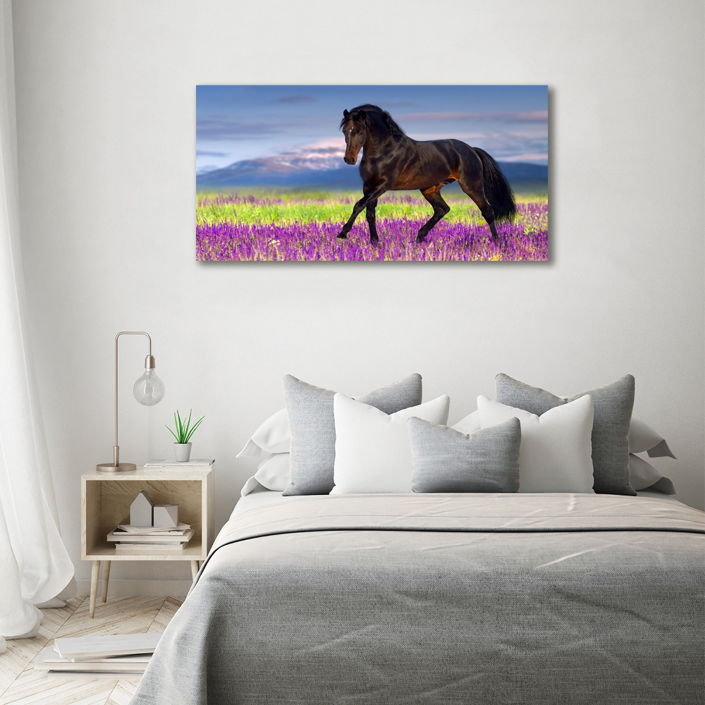 Print on acrylic Horse in the field of lavender