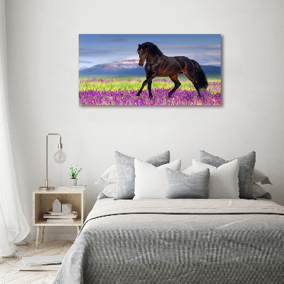 Print on acrylic Horse in the field of lavender