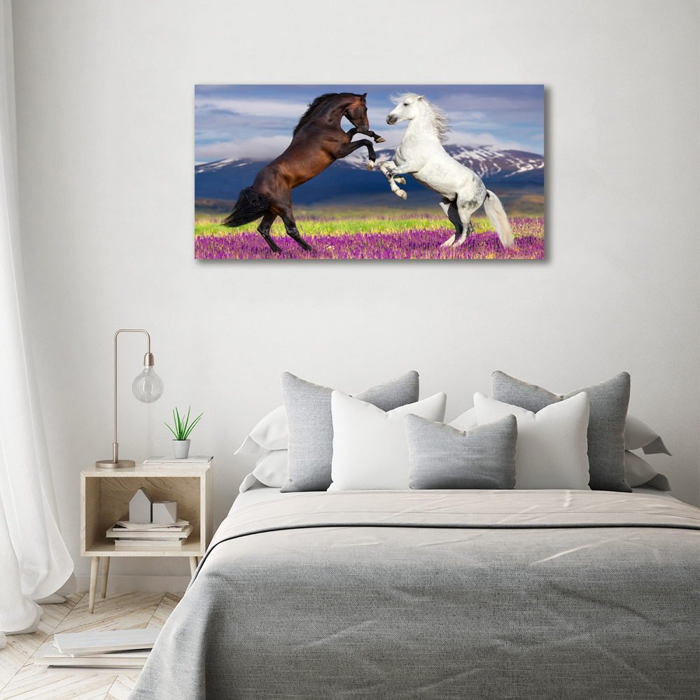 Print on acrylic Fighting horses mountains