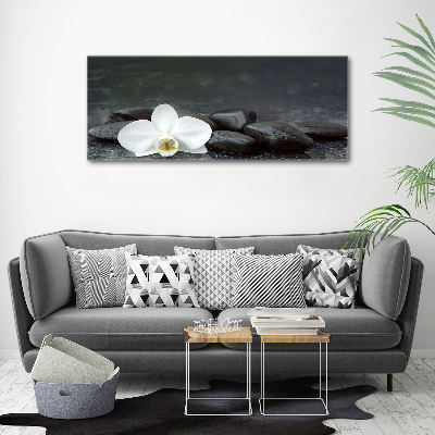 Acrylic print Orchid