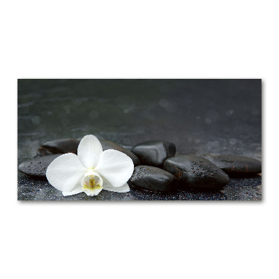 Acrylic print Orchid