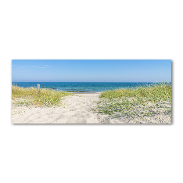 Acrylic wall art Coastal dunes