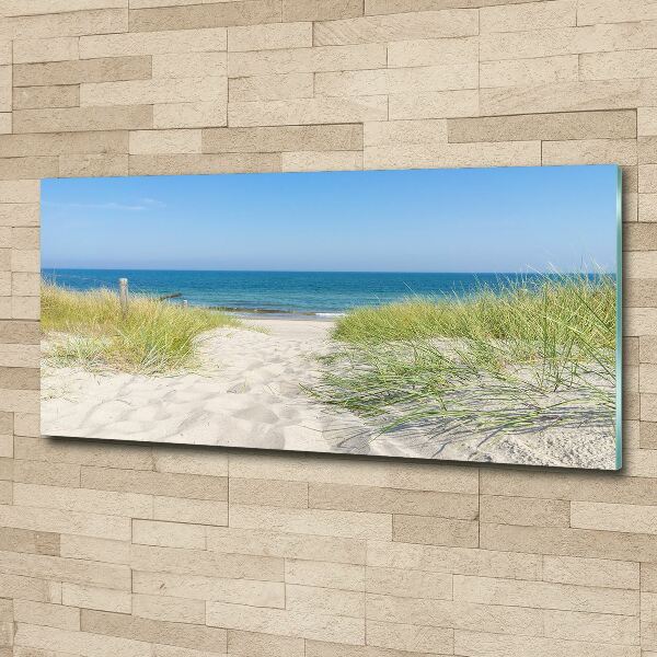 Acrylic wall art Coastal dunes