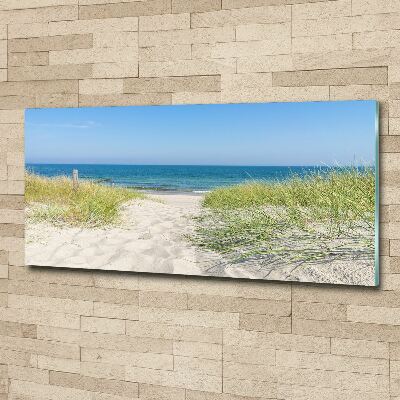 Acrylic wall art Coastal dunes