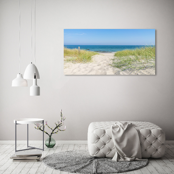 Acrylic wall art Coastal dunes