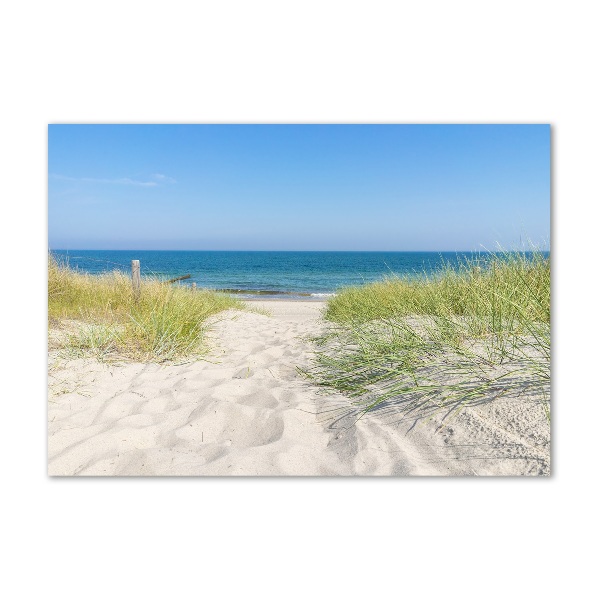 Acrylic wall art Coastal dunes