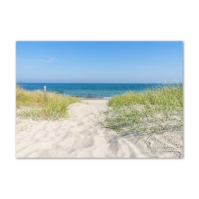 Acrylic wall art Coastal dunes