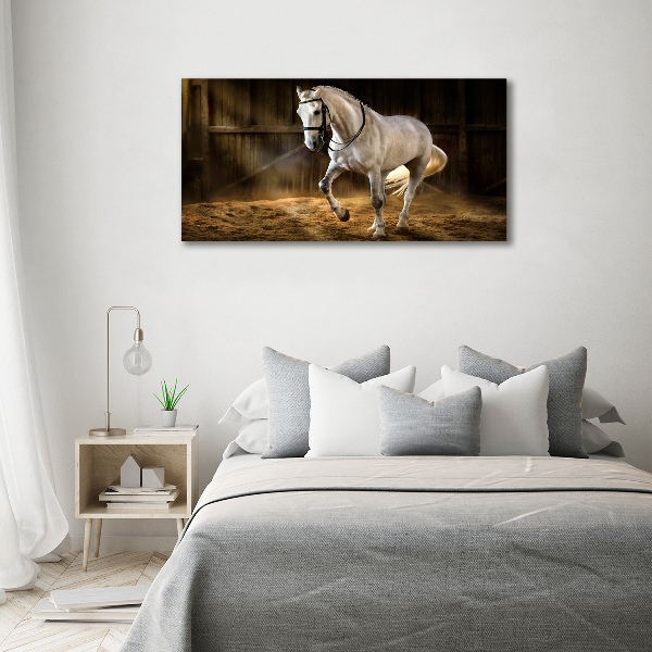 Print on acrylic White horse in the stable