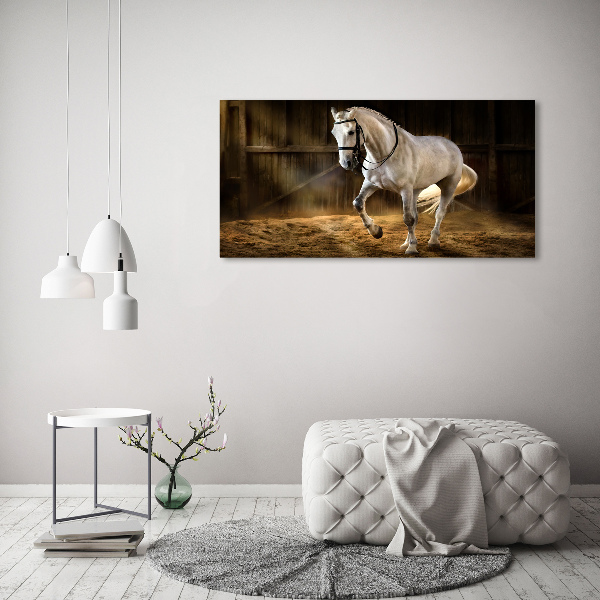 Print on acrylic White horse in the stable