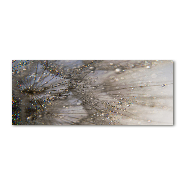 Wall art acrylic Dandelion seeds