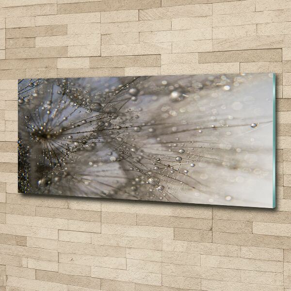 Wall art acrylic Dandelion seeds