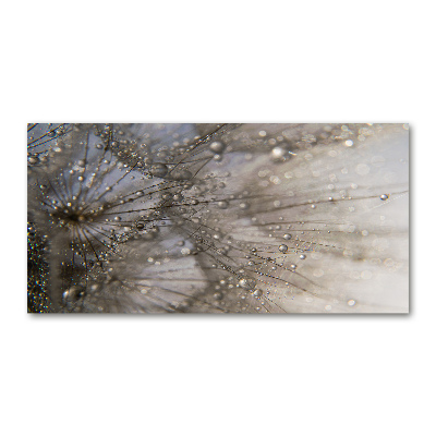 Wall art acrylic Dandelion seeds