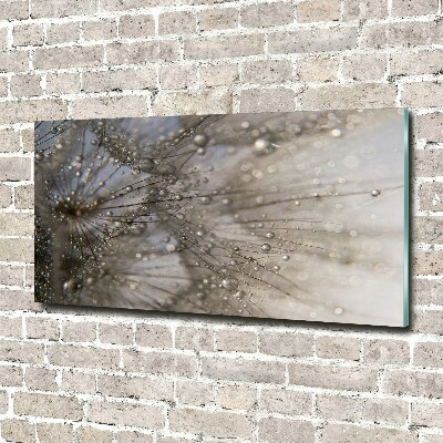 Wall art acrylic Dandelion seeds