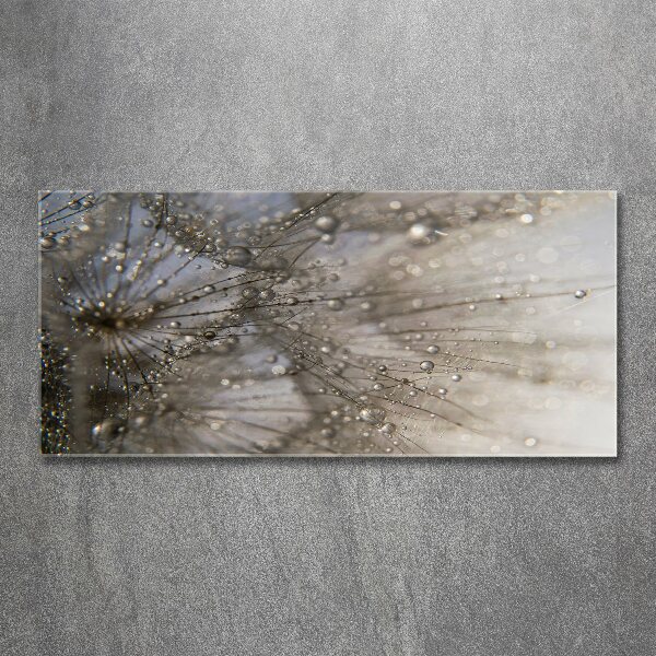 Wall art acrylic Dandelion seeds