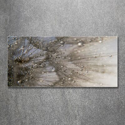 Wall art acrylic Dandelion seeds