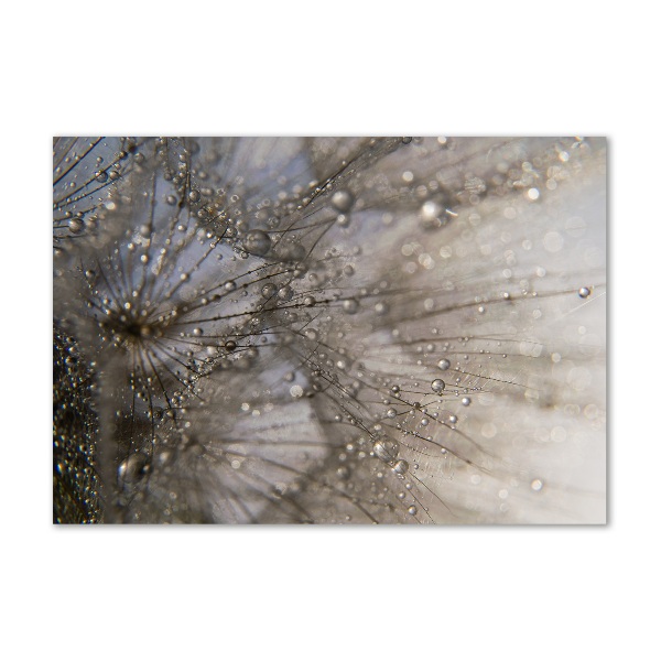 Wall art acrylic Dandelion seeds