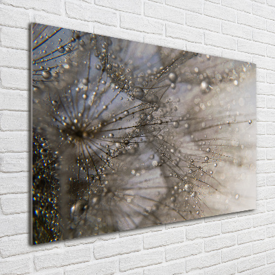 Wall art acrylic Dandelion seeds