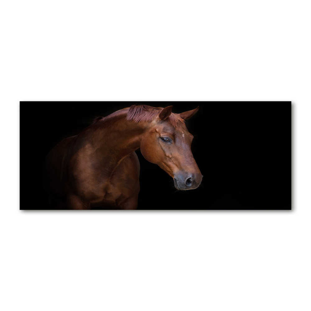 Acrylic wall art Brown horse