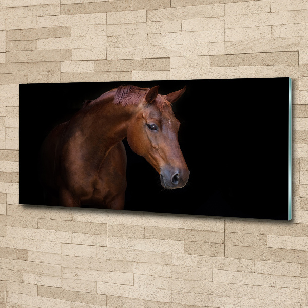 Acrylic wall art Brown horse