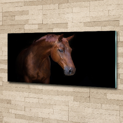 Acrylic wall art Brown horse