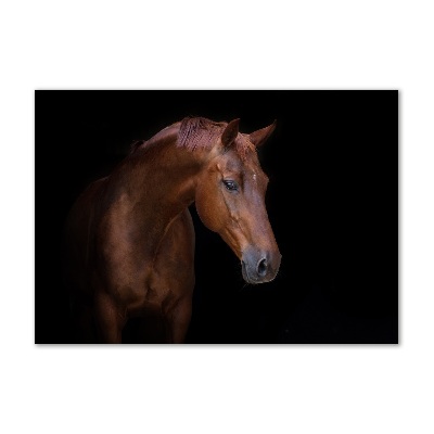 Acrylic wall art Brown horse