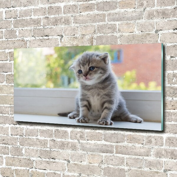 Wall art acrylic Little Cat by the window