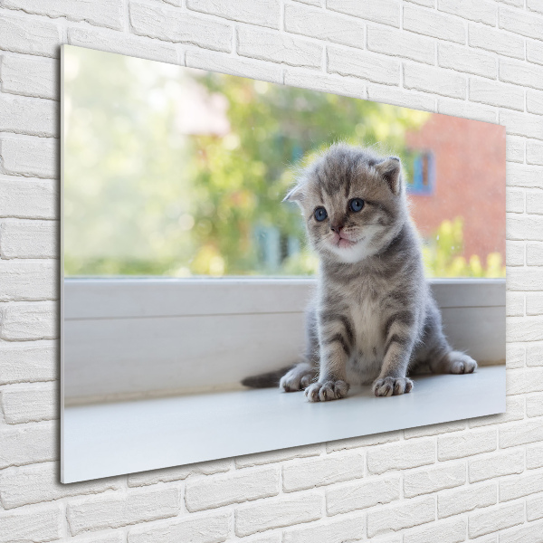 Wall art acrylic Little Cat by the window