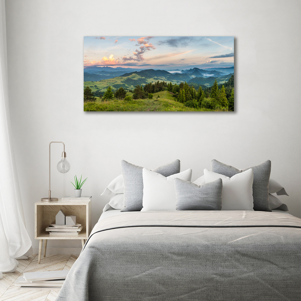 Wall art acrylic Panorama of the Pieniny