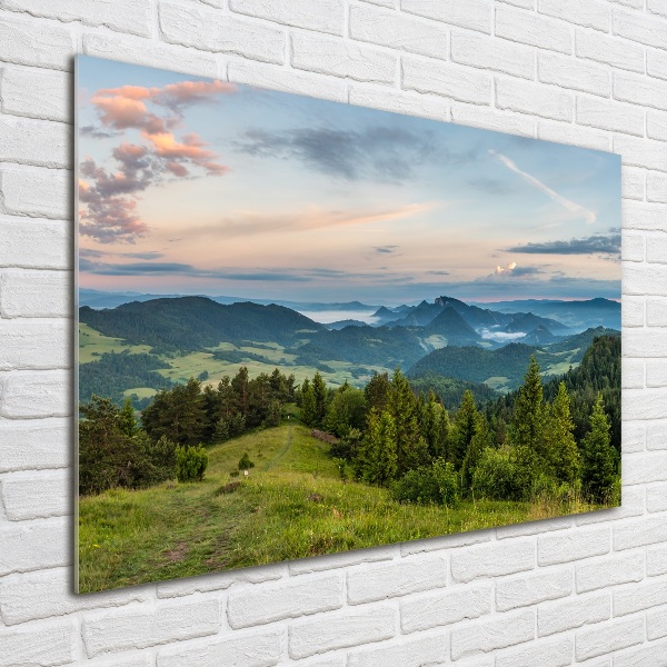 Wall art acrylic Panorama of the Pieniny