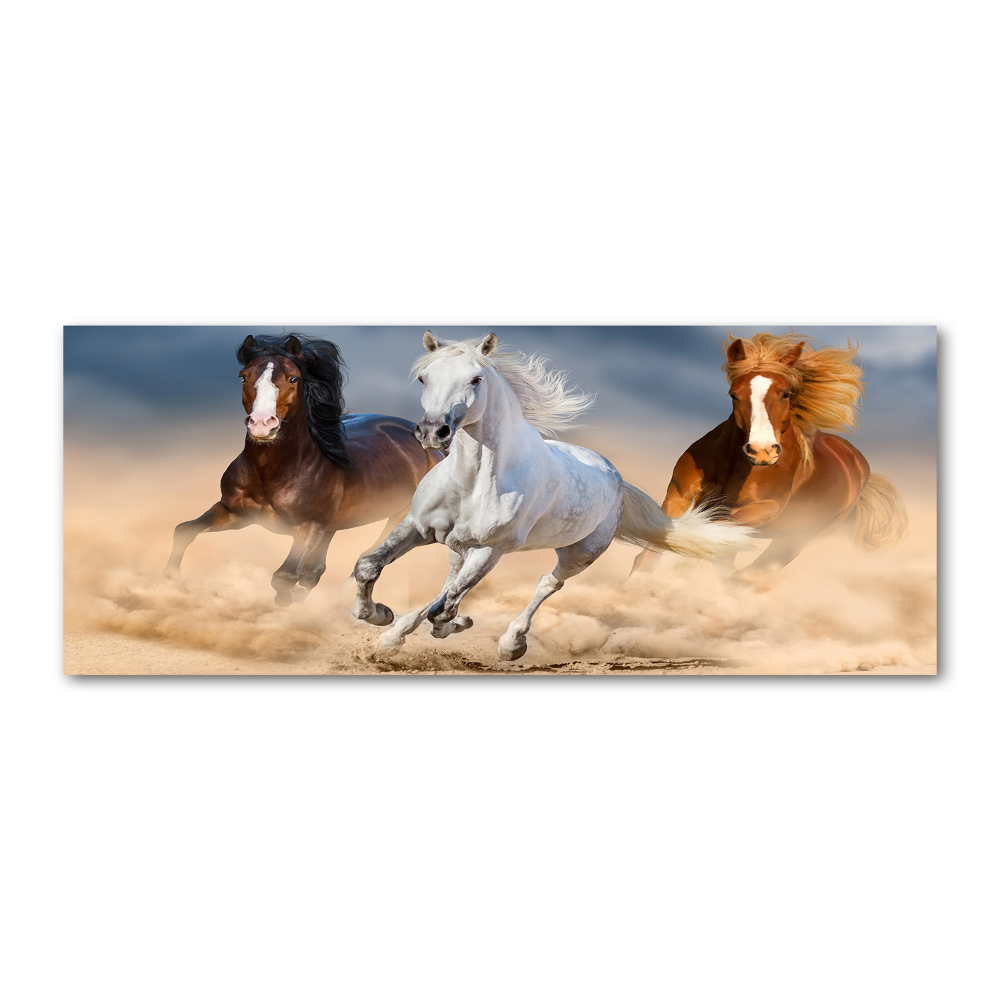 Wall art acrylic Horses in the desert