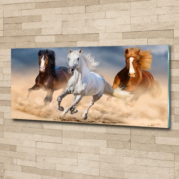 Wall art acrylic Horses in the desert