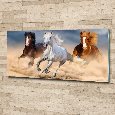 Wall art acrylic Horses in the desert