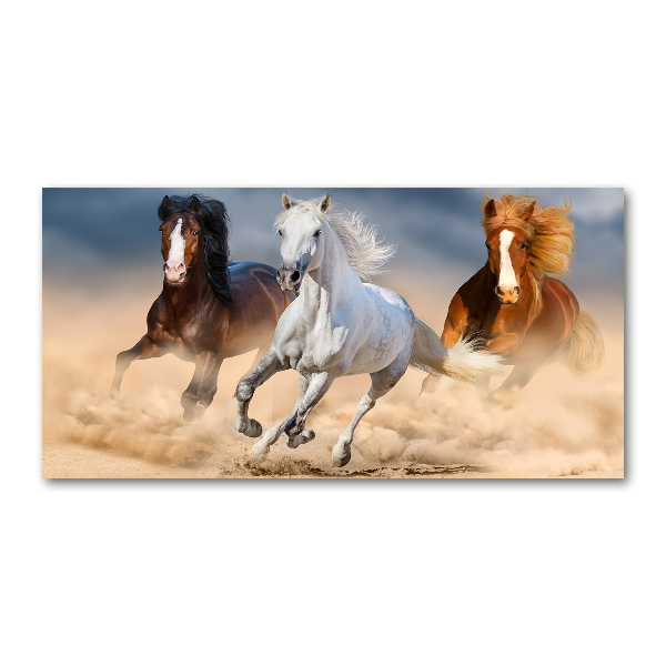 Wall art acrylic Horses in the desert