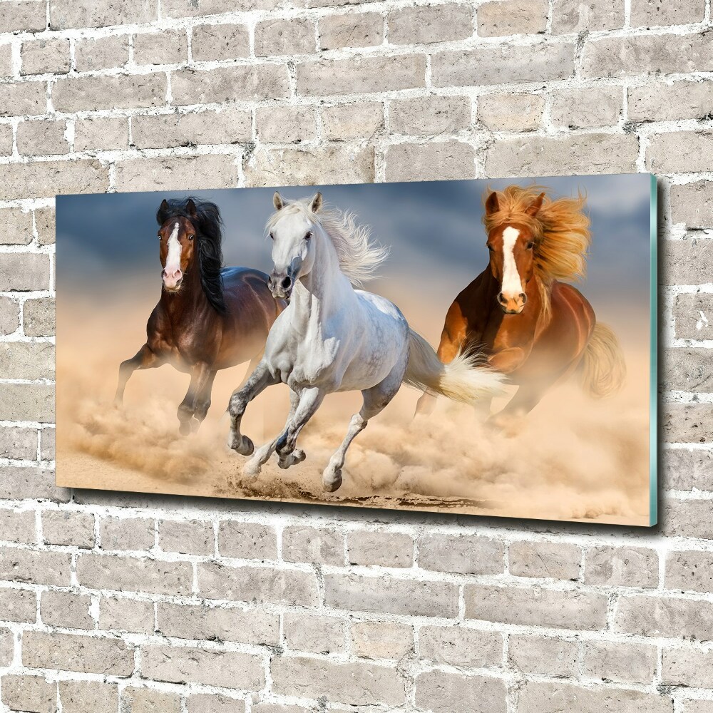 Wall art acrylic Horses in the desert